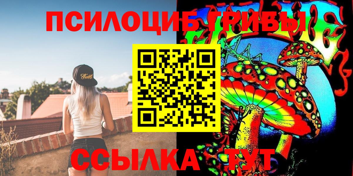 Псилоцибиновые грибы Psilocybe Иваново