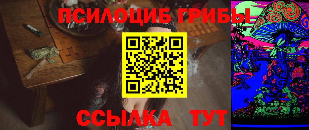 Псилоцибиновые грибы GOLDEN TEACHER  Вход с VPN  Иваново  Псилоцибиновые грибы Psilocybine cubensis 